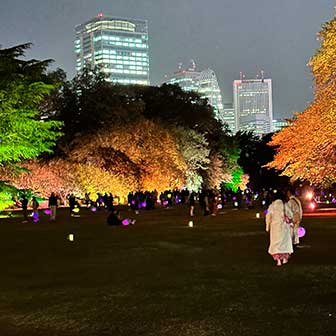 Lichterfest im Park in Tokyo